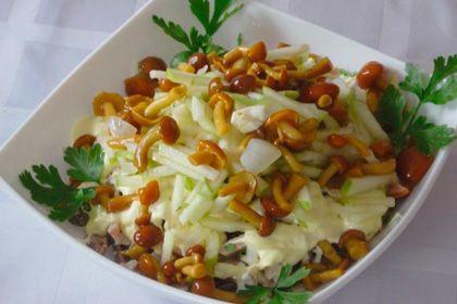 Recepti za salatu s kiselim gljivama, kao i predjela i juhe od tih gljiva