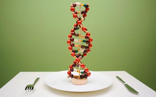 DNA model on a plate