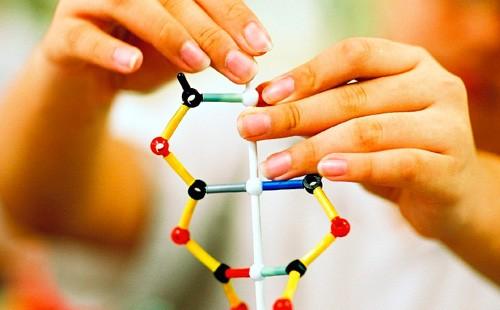 DNA molecule model is touched