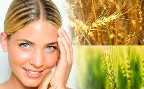 Wheat germ oil is very healthy