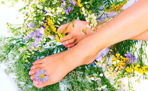 Feet on wildflowers and grass.