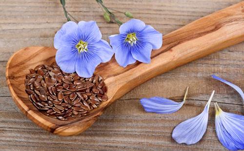 Sky blue flax and its seeds give you lightness