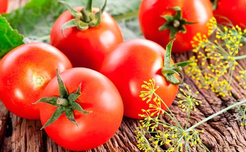 Red tomatoes and sprig of dill