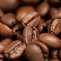 Los granos de café están llenos de nutrientes.