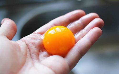 Bright yolk in the palm of your hand
