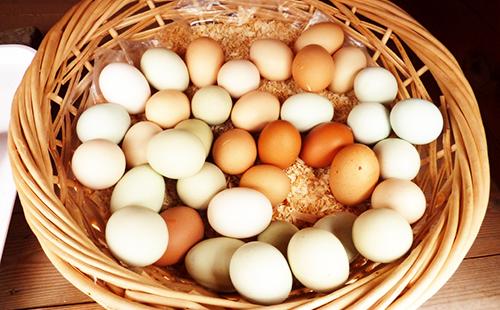 Multi-colored eggs in a wicker basket