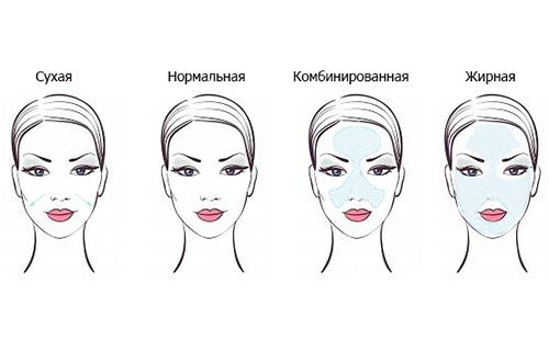 Representación esquemática de cuatro tipos de pieles.
