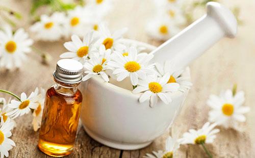Essential oil and daisies