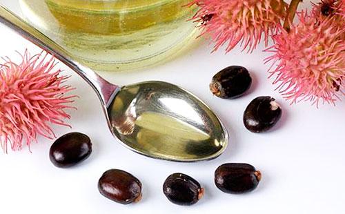 Ricinusovo ulje i sjemenke