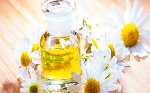 Chamomile and essential oil