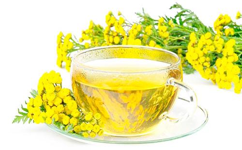 Tansy decoction