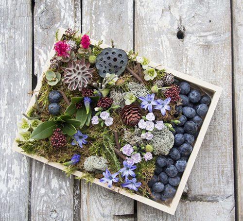 Composition with berries and cones