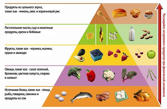 Hrana piramida