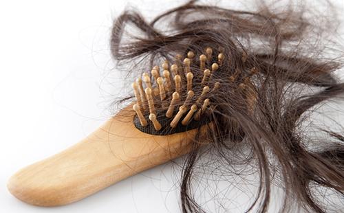 Une mèche de cheveux dans les dents d'une brosse en bois