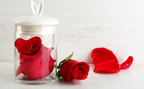 Rose in the jar