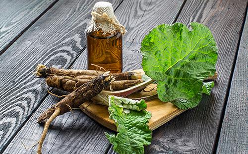 Roots, leaves and burdock oil