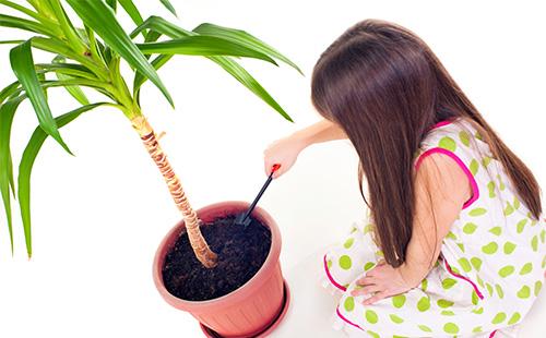 Girl loosens the earth in a flowerpot