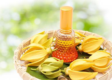 Ylang Ylang Huile dans une bouteille