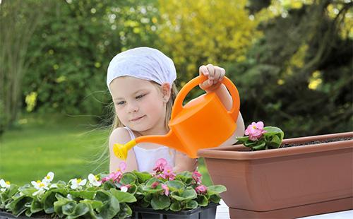Girl watering begonia pots