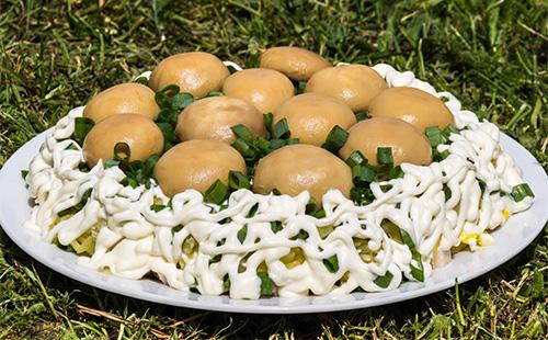 Slalat mushroom glade with champignons