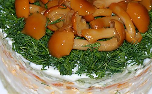 Mushroom salad with forest mushrooms