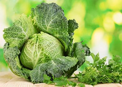 Savoy cabbage recipes: a new taste for familiar dishes