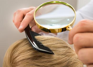 Inspection of hair under a magnifying glass