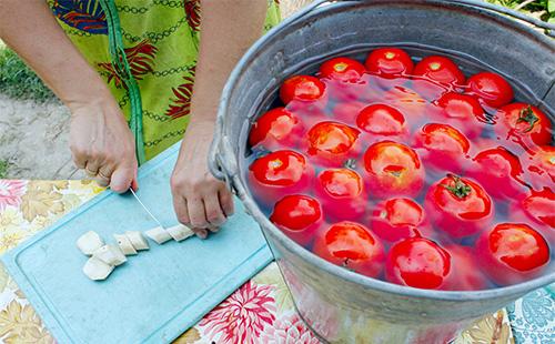 Tomates en un cubo