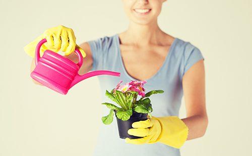 Woman watering a flower from a pink watering can