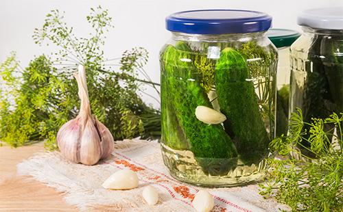 Cucumbers in jars prepared for preservation