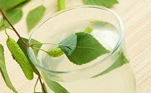 Birch juice and a leaf in a glass