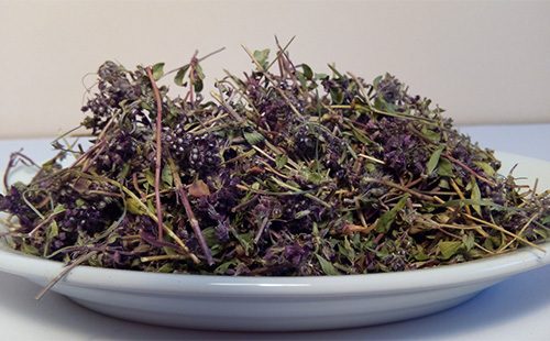 Dry thyme in a bowl