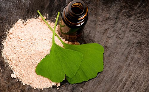 Ginko biloba leaves and dry root