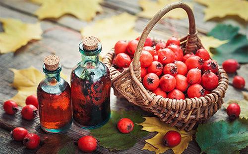 Rose hips and oil from them