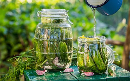 Two jars of pickled cucumbers