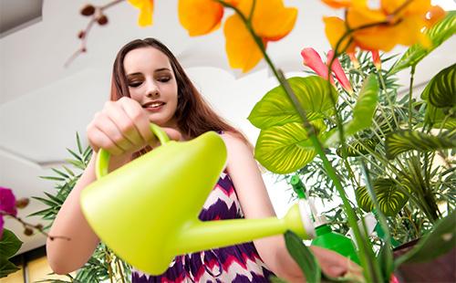 Djevojka koja zalijeva orhideju