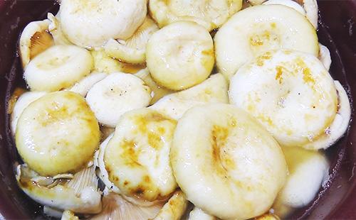Mushrooms in brine