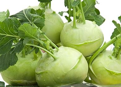 Recipes with kohlrabi cabbage: holiday, diet and, for a change of diet