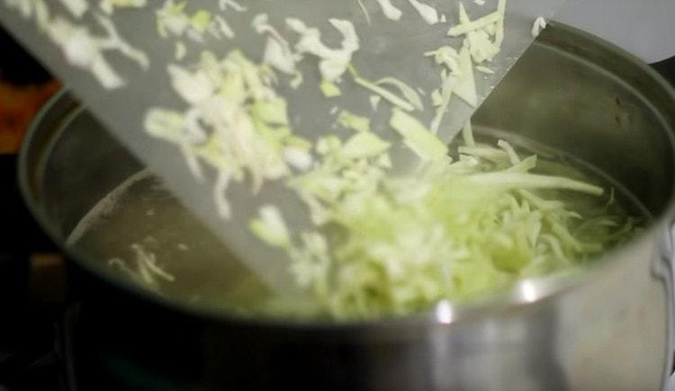 We spread shredded cabbage into the pan.