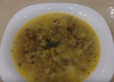 Deliciosa sopa de champiñones y champiñones: receta con fotos y videos.