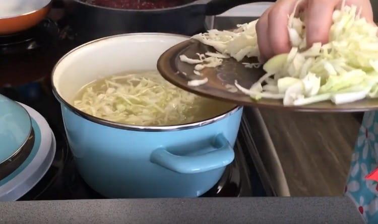We put cabbage in the pan.