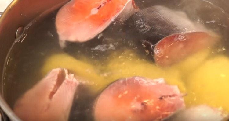 Corte el salmón rosado en trozos y agréguelo al caldo.