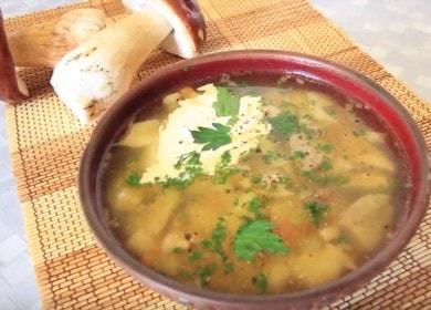 Mirisna juha od gljiva od porcije: recept s fotografijama po korak.