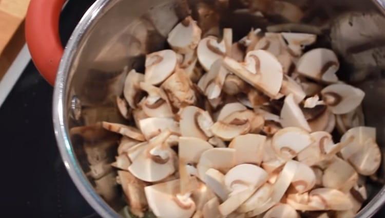 Thinly cut mushrooms and spread them to the onion.