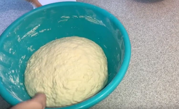 Ready dough will rise slightly due to kefir.