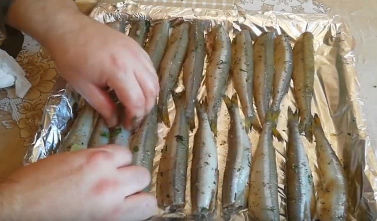 Kiselu ribu širimo na lim za pečenje obložen folijom.