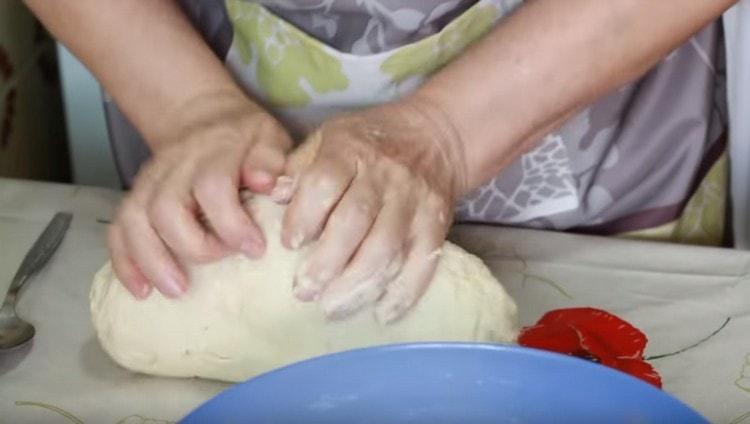 Knead the dough, it should turn out smooth and elastic.