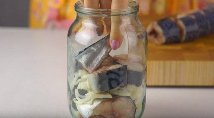 In a clean jar we add fish with onion layers.