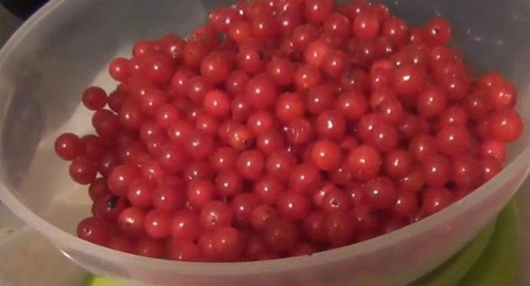 Wash the viburnum berries and dry them a little.