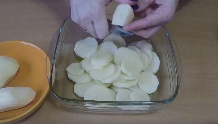 Nous coupons les pommes de terre en cercles directement dans la forme.